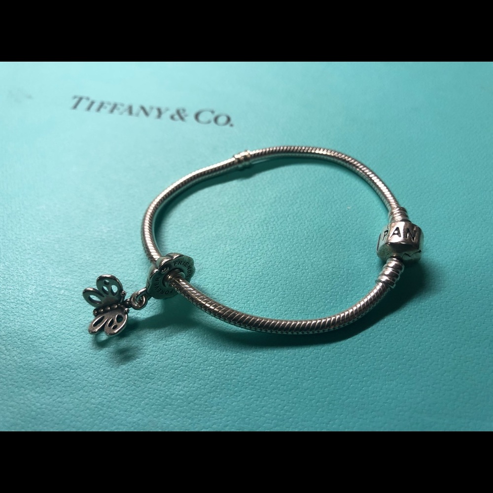 NOT FOR SALA Pandora Silver Moments Chain bracelet